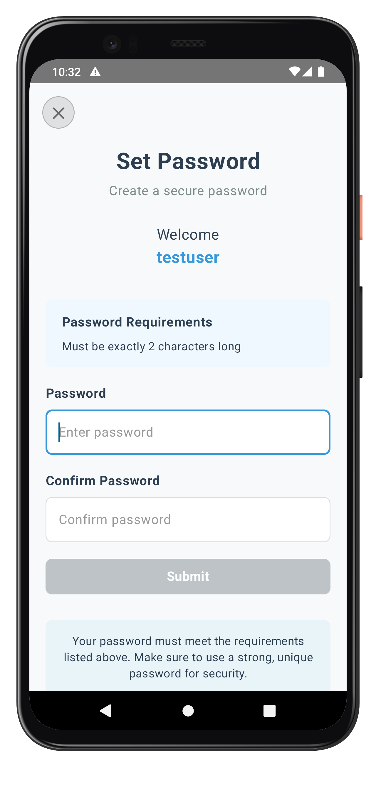 Set Password Screen