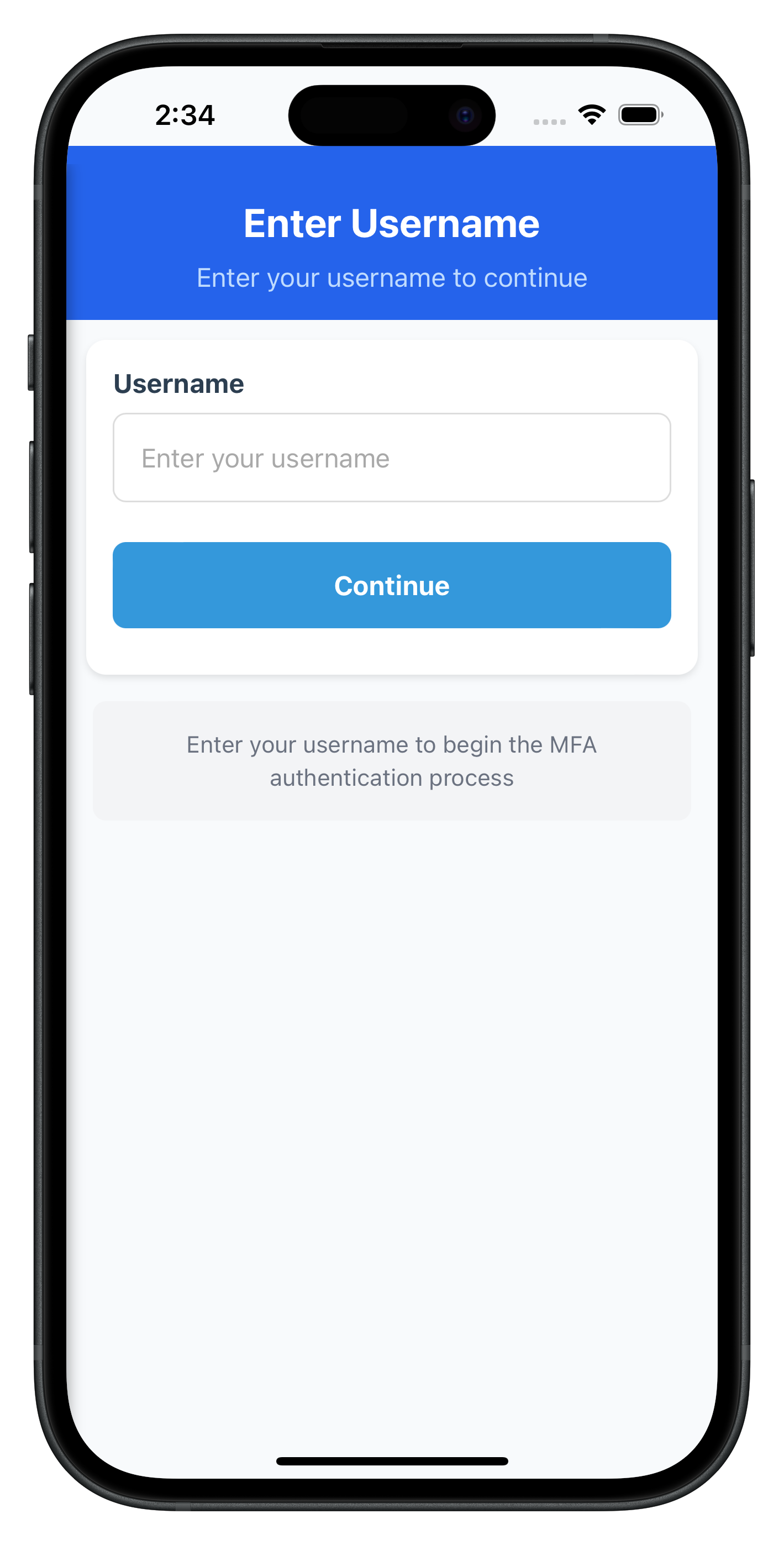 Check User Screen