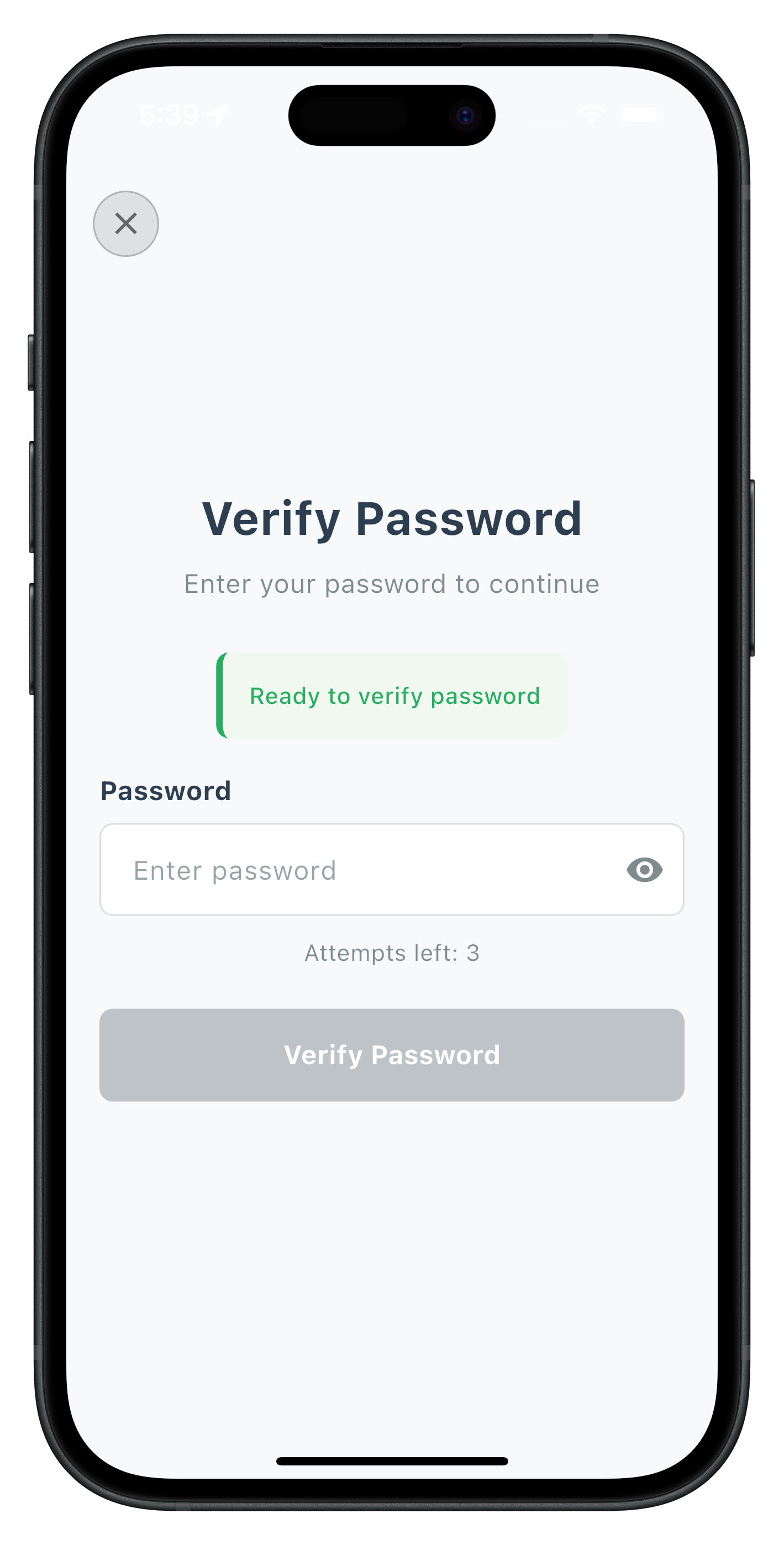 Verify Password Screen