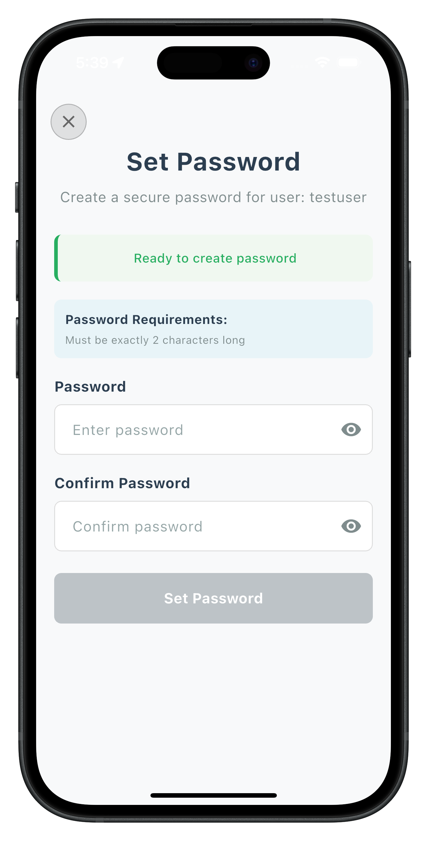 Set Password Screen