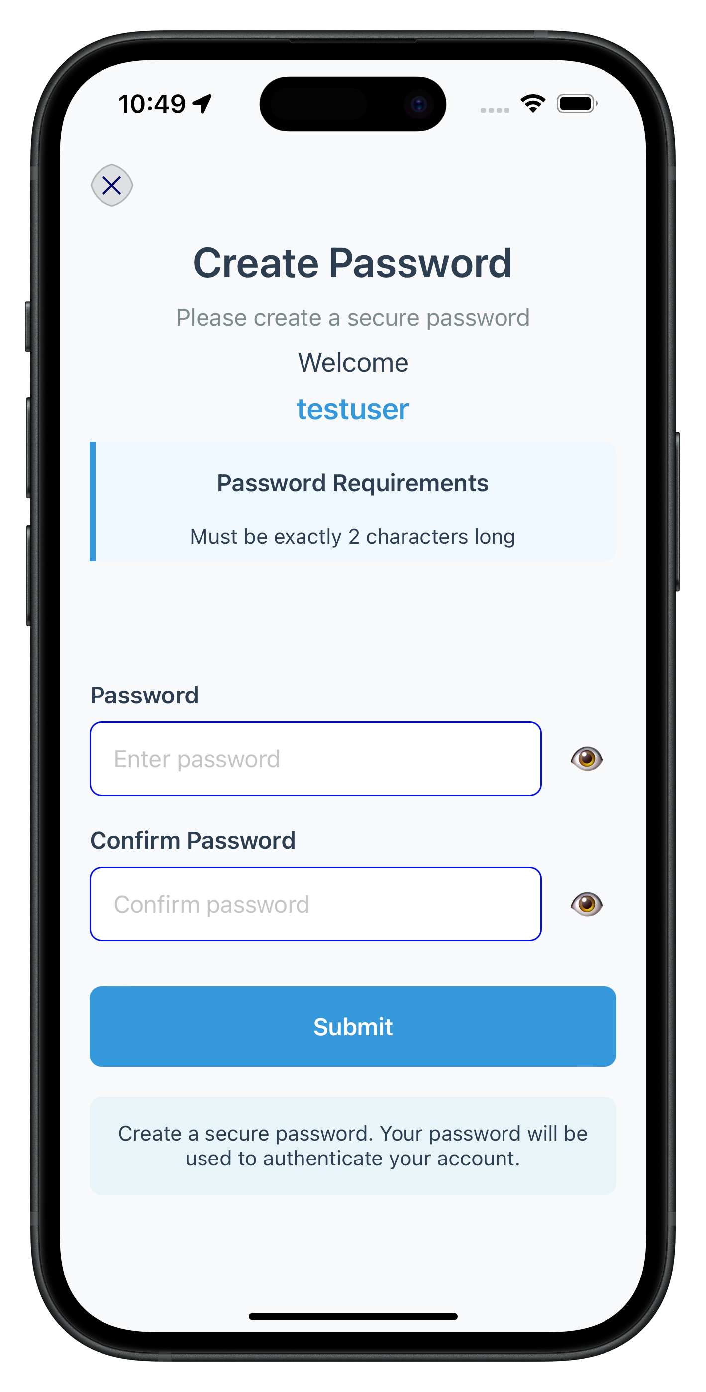 Set Password Screen