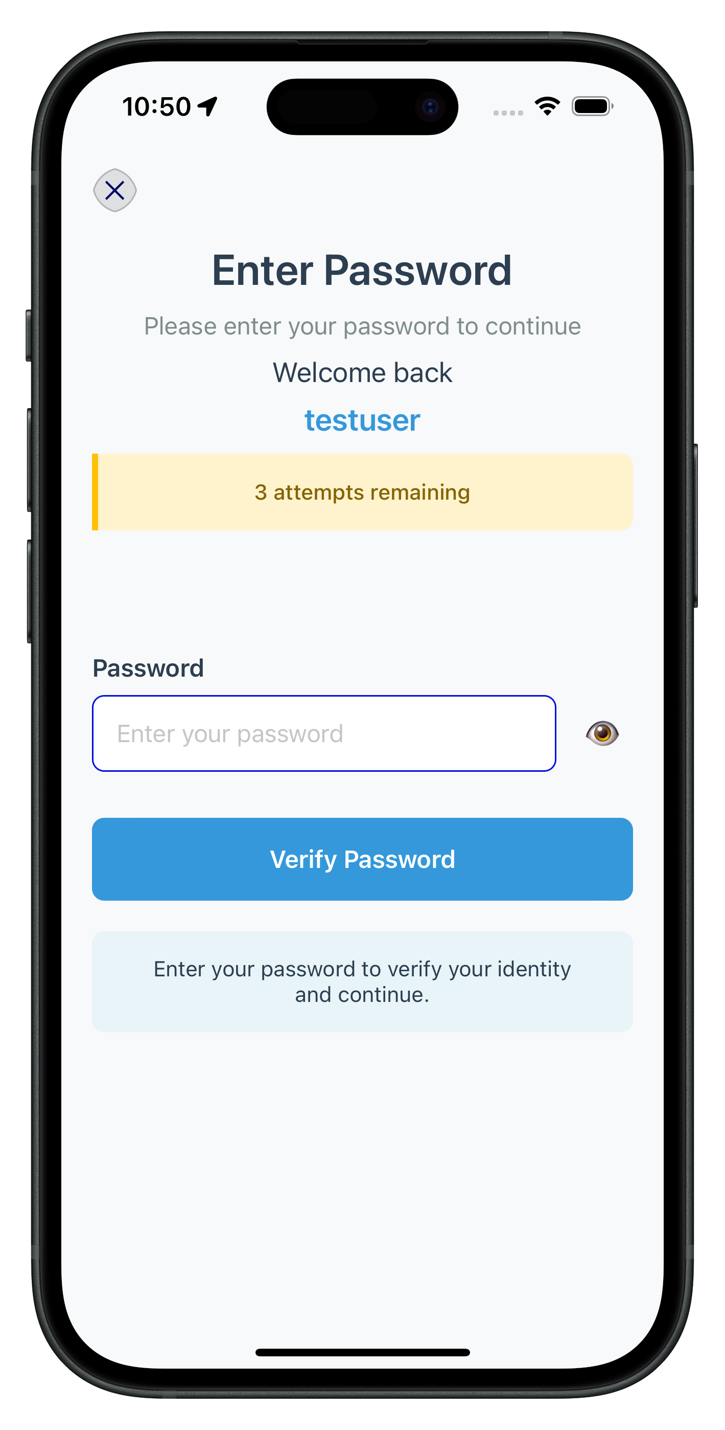 Verify Password Screen