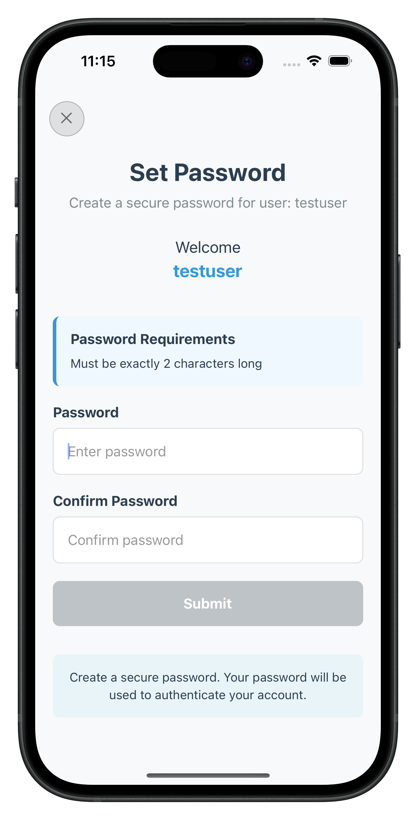 Set Password Screen